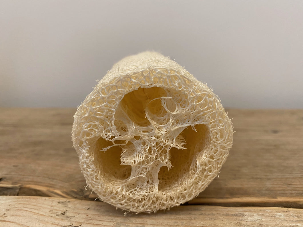 body loofah